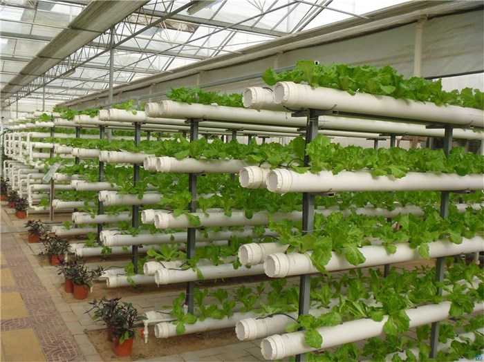 遂宁市智慧农业种植槽 - 排名
