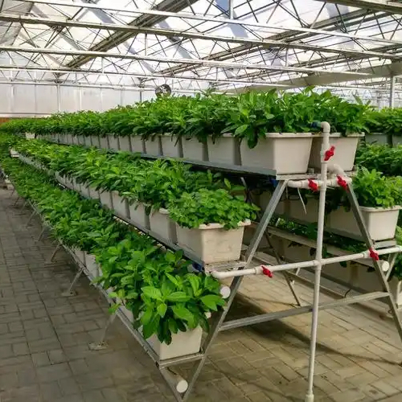 遂宁市植物工厂鱼菜共生 - 一站式服务